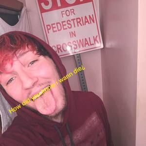 Meet your Posher, Steven